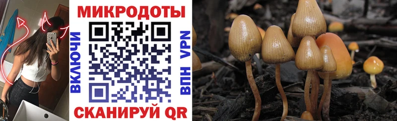 наркотики  Суоярви  Галлюциногенные грибы мухоморы 